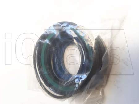 Gasket set KLAPPZYLINDER TERRAROLL