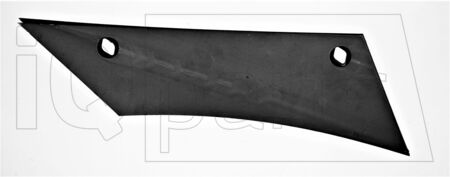 Piept cormana 173462